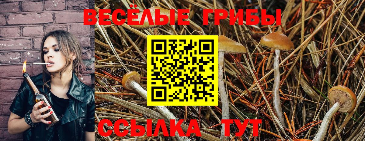 Псилоцибиновые грибы ЛСД  Вход с VPN  Куйбышев 