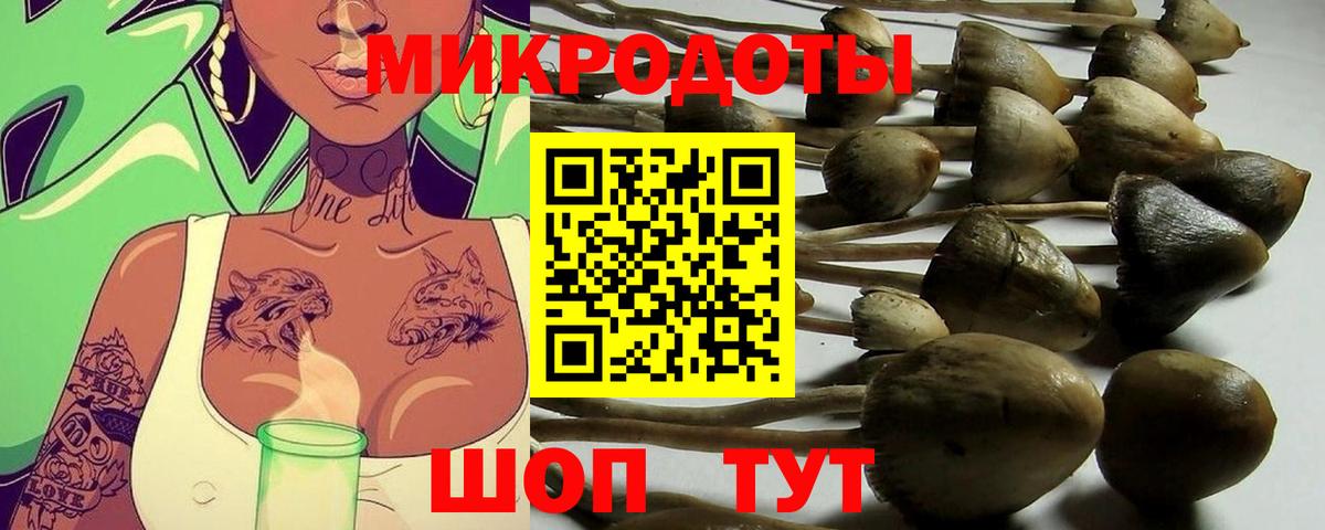 Псилоцибиновые грибы Magic Shrooms Куйбышев